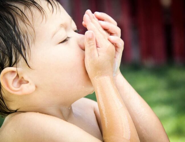 Surrogacy and genetic link services in  Germany: what to know