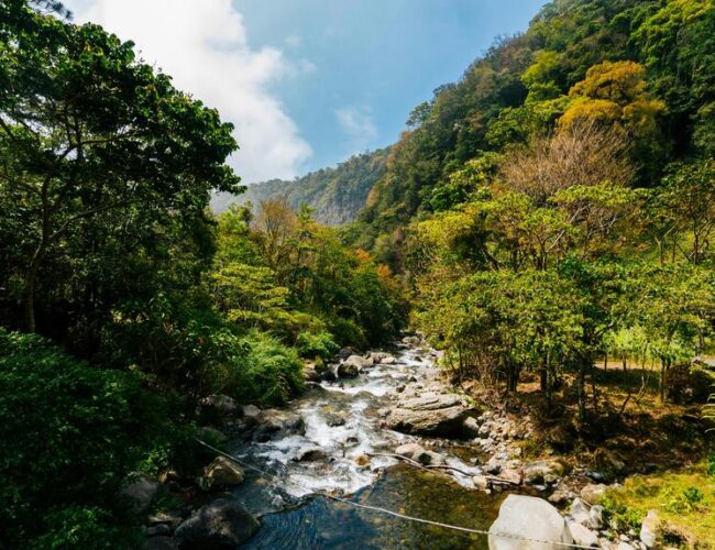 Requirements to obtain permanent residency in Panama from United States: consult with Legal Solutions