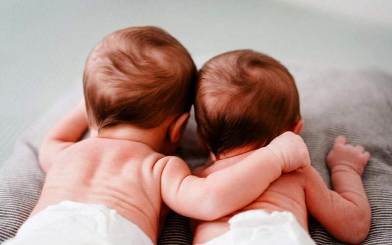 How does Family Aims help you choose the ideal surrogate in New Zealand?